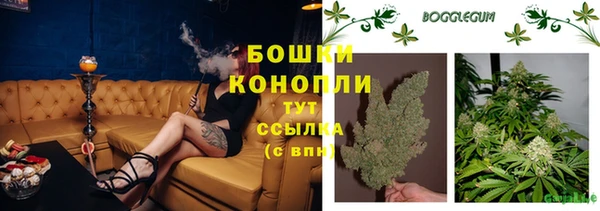 МДПВ Вяземский