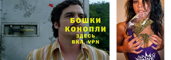 МДПВ Вяземский