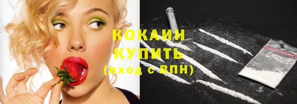 МДПВ Вяземский