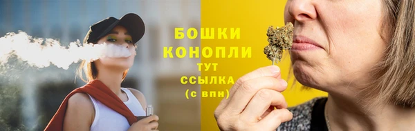 МДПВ Вяземский
