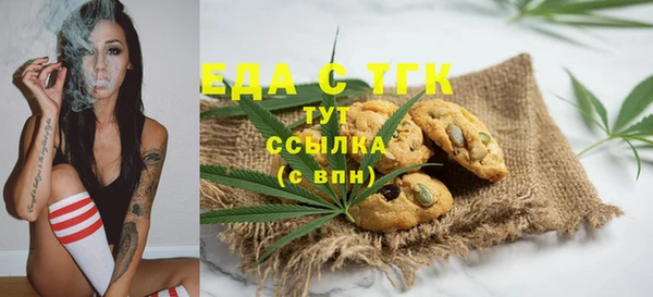 МДПВ Вяземский