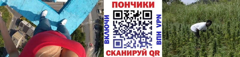 наркотики Кумертау Шишки марихуана VHQ
